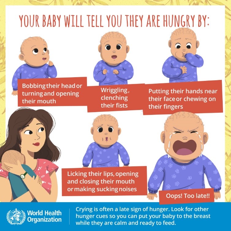 Signs baby is hungry banner